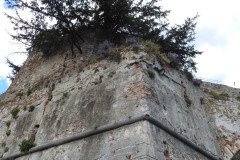 DSCN1316