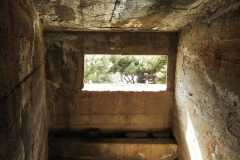 DSCN1325