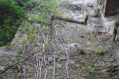 DSCN1329