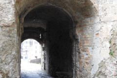 DSCN1334