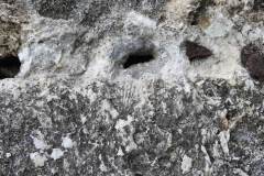 DSCN1336
