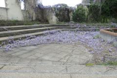 DSCN1341