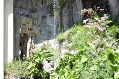 DSCN0809