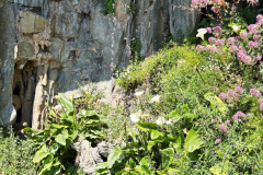 DSCN0809a