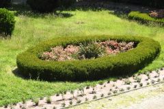 DSCN0812