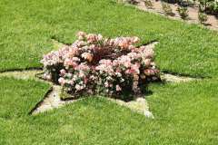 DSCN0814