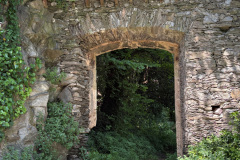 DSCN0824b